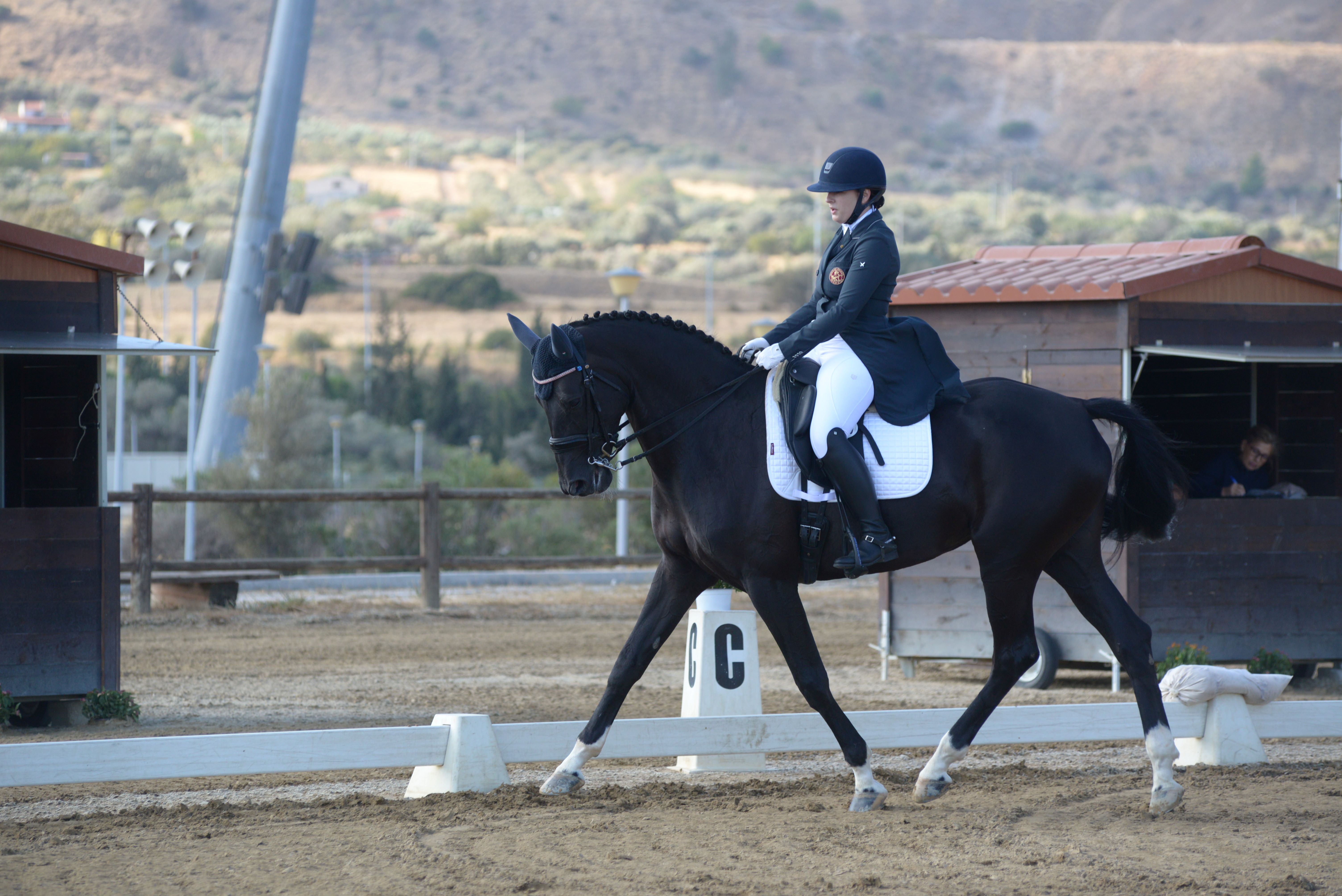 Πανελλήνιοι Αγώνες ΙΔ