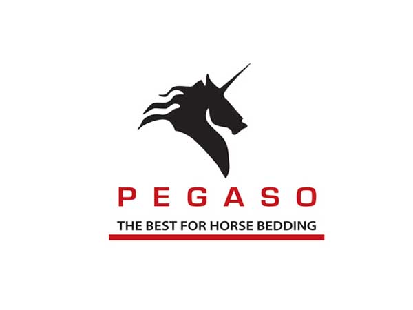 Pegaso